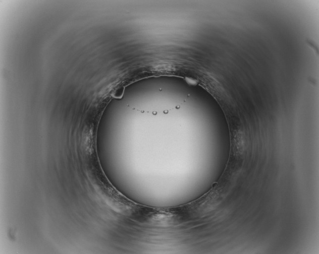 X0000102290364200808011518