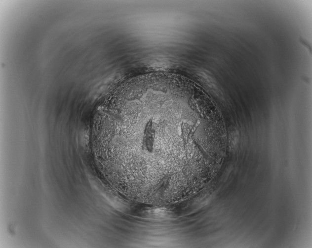 X0000102290365200808011518