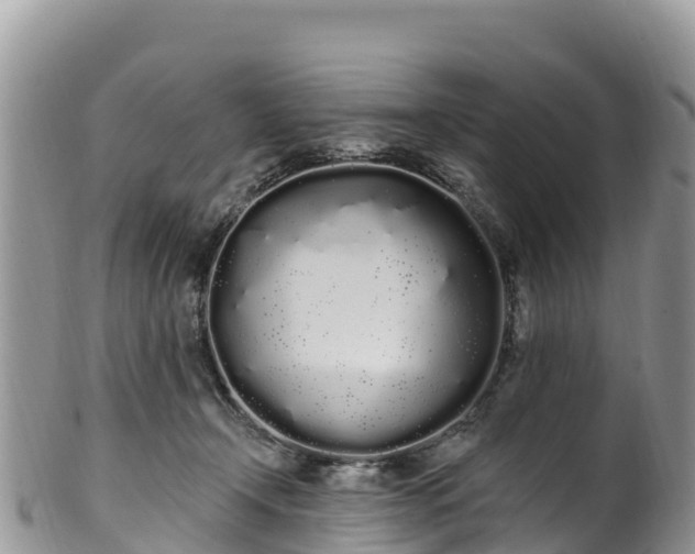 X0000102290366200808011518