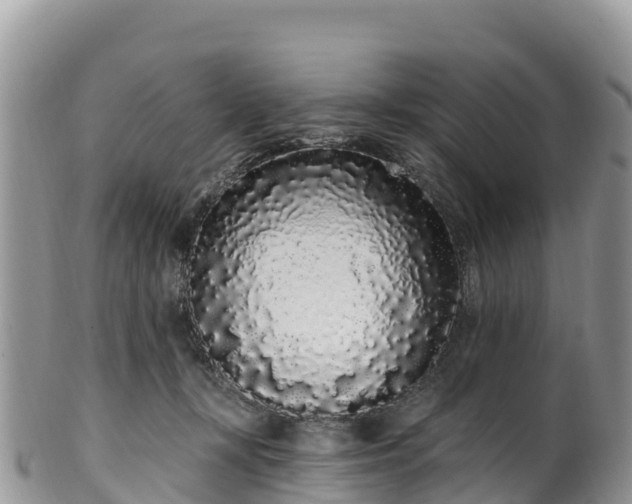 X0000102290367200808011518