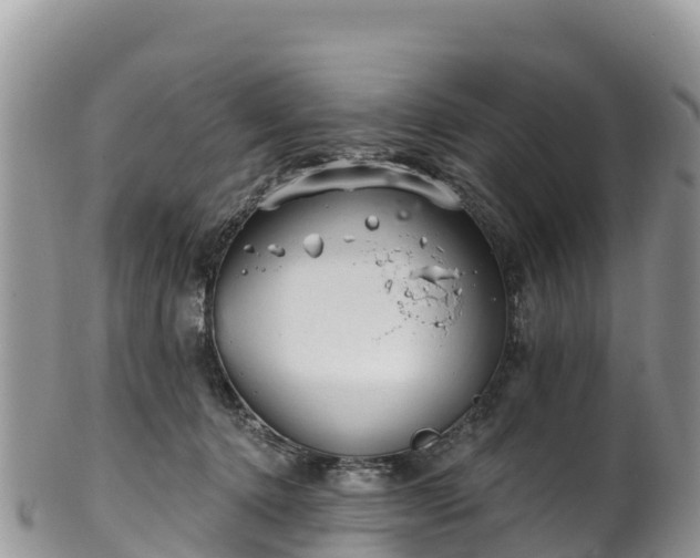 X0000102290368200808011518