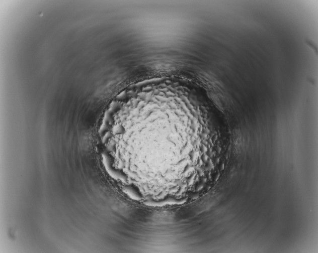 X0000102290369200808011518