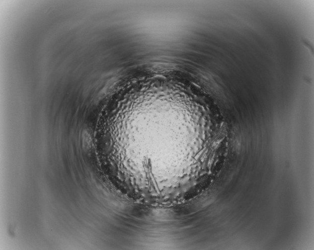 X0000102290371200808011518