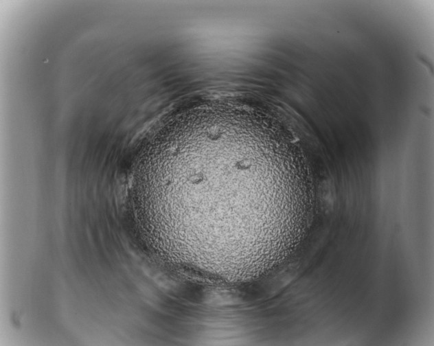 X0000102290372200808011518