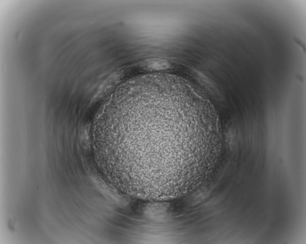 X0000102290373200808011518