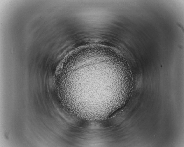 X0000102290376200808011518