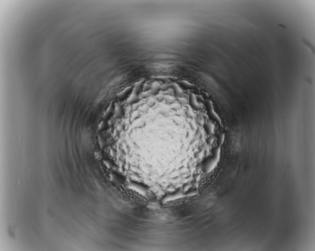 X0000102290377200808011518