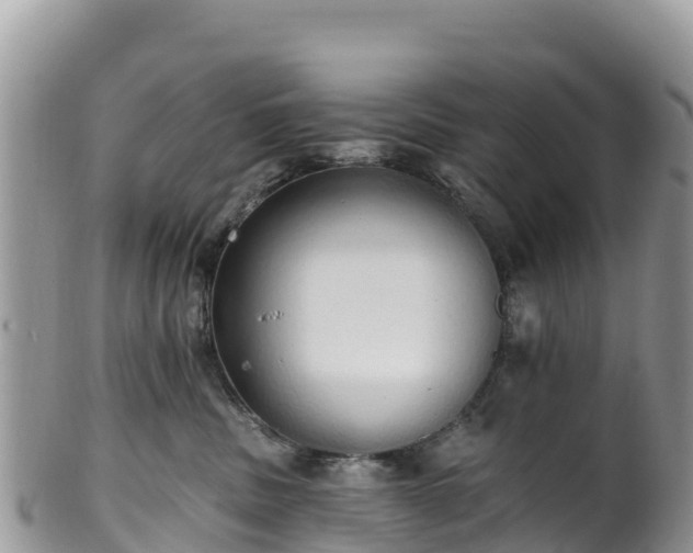 X0000102290379200808011518