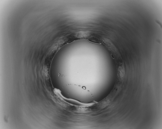 X0000102290380200808011518