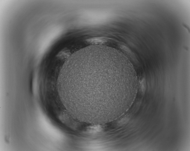 X0000102290381200808011518