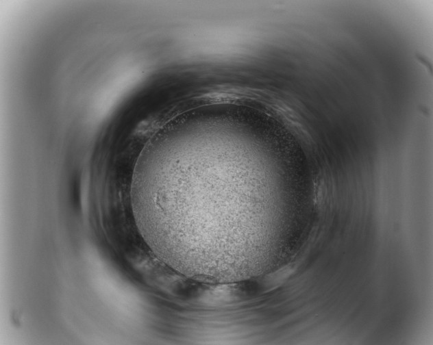 X0000102290382200808011518