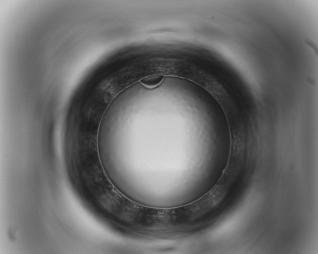 X0000102290383200808011518