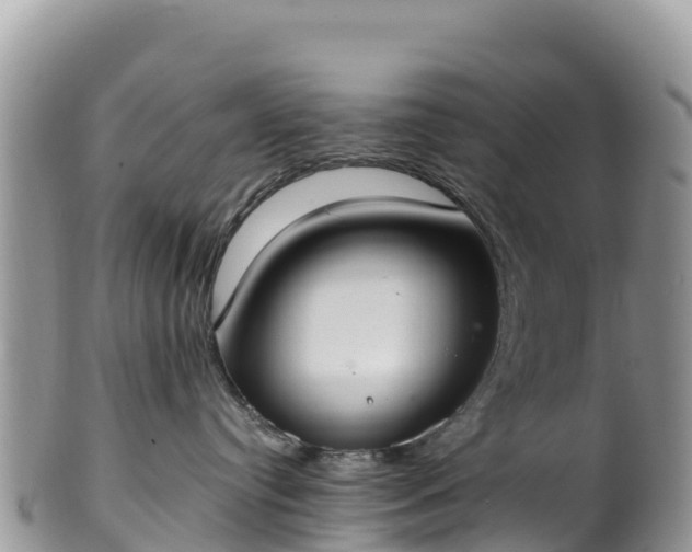 X0000102290384200808011518