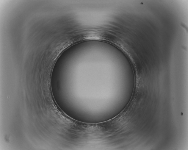 X0000102290385200808011518