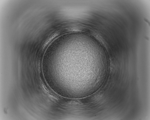 X0000102290386200808011518