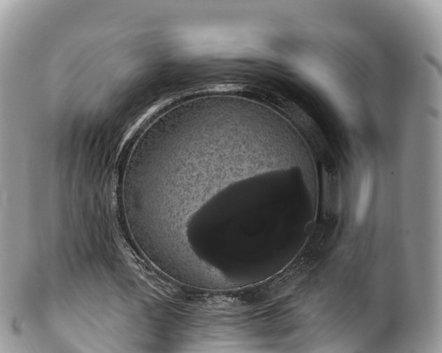 X0000102290387200808011518