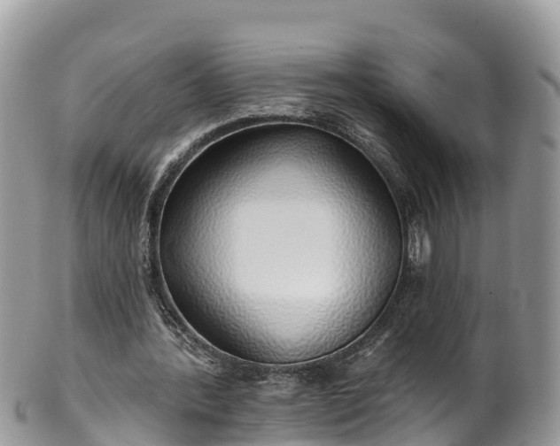 X0000102290388200808011518