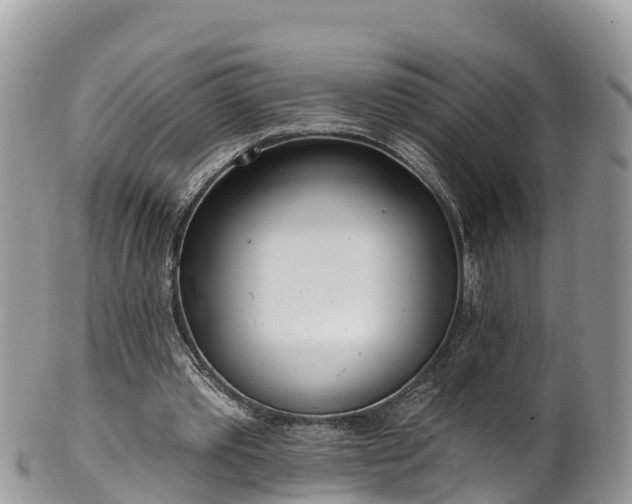 X0000102290389200808011518