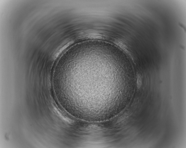 X0000102290390200808011518