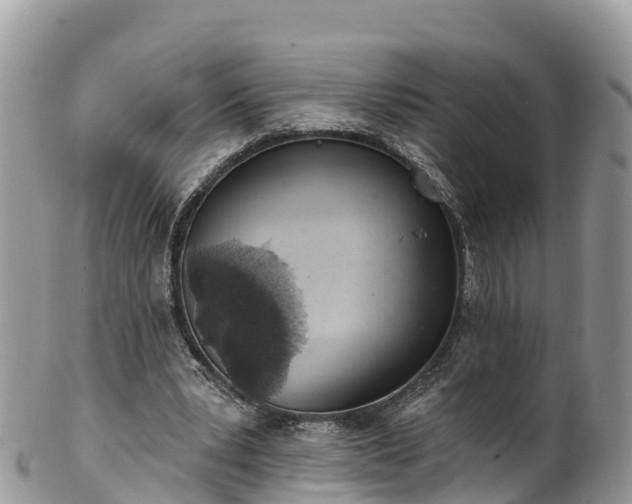 X0000102290391200808011517