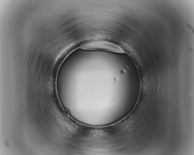 X0000102290392200808011517