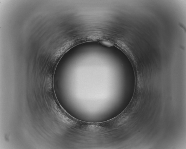 X0000102290393200808011517