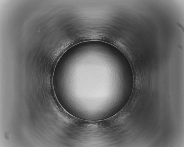 X0000102290394200808011517