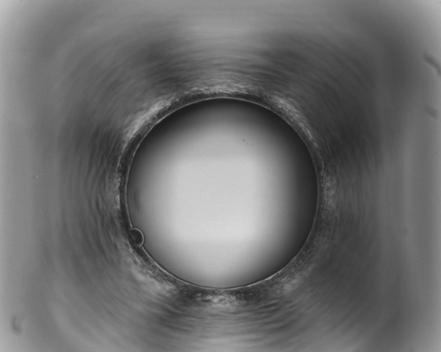 X0000102290395200808011517