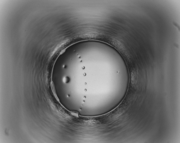 X0000102290396200808011517