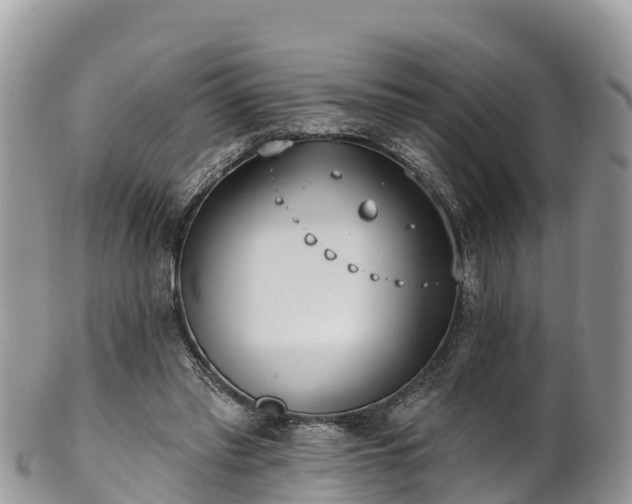 X0000102290397200808011517