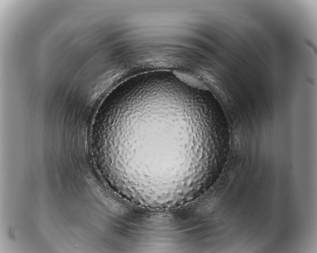 X0000102290398200808011517