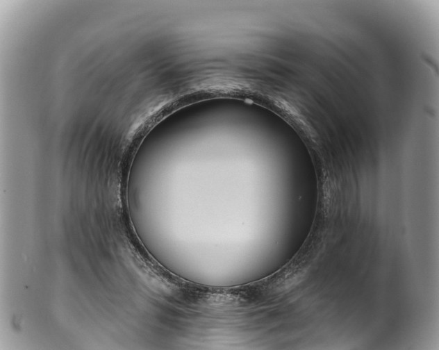 X0000102290399200808011517