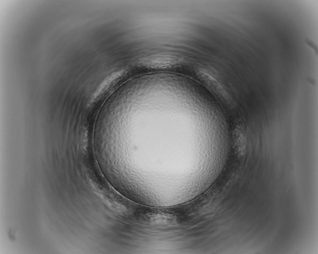 X0000102290400200808011517