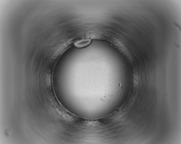 X0000102290401200808011517