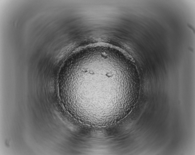 X0000102290402200808011517