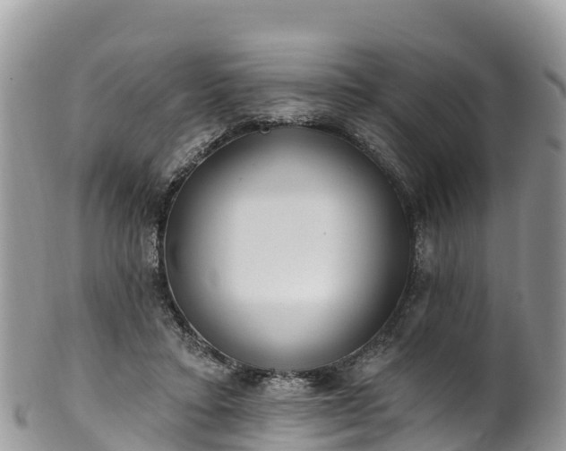 X0000102290403200808011517