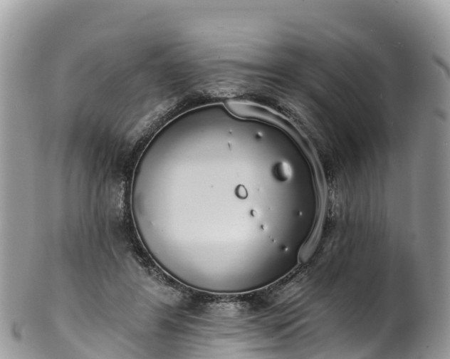 X0000102290404200808011517