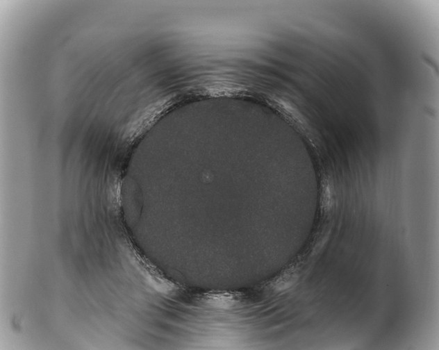 X0000102290405200808011517