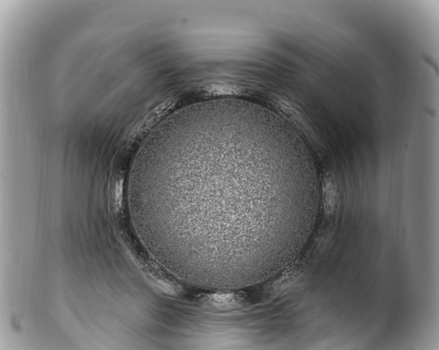 X0000102290406200808011517