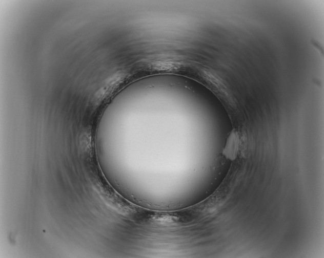 X0000102290407200808011517