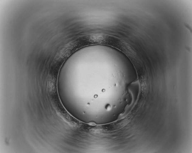 X0000102290408200808011517