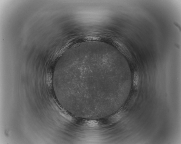 X0000102290409200808011517