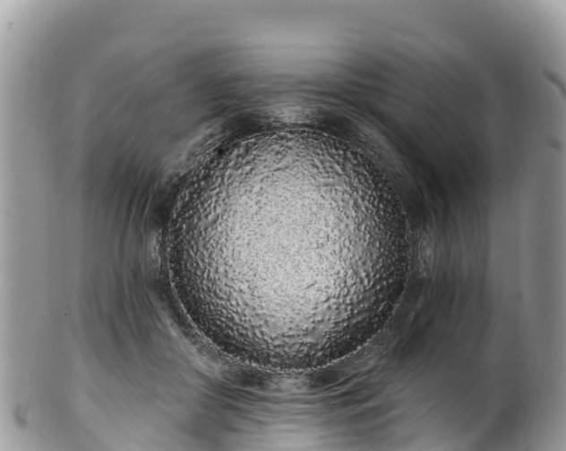 X0000102290410200808011517