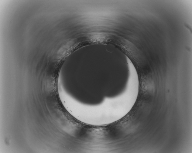 X0000102290411200808011517