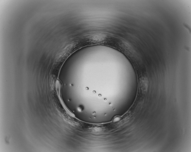 X0000102290412200808011517