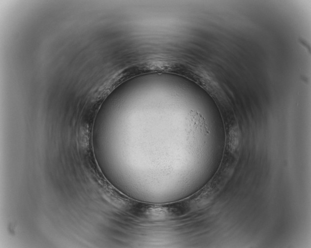 X0000102290413200808011517