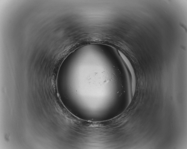 X0000102290415200808011517