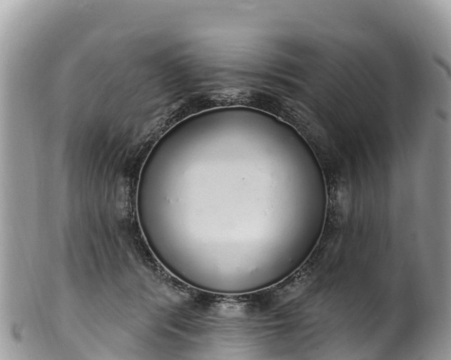 X0000102290416200808011517