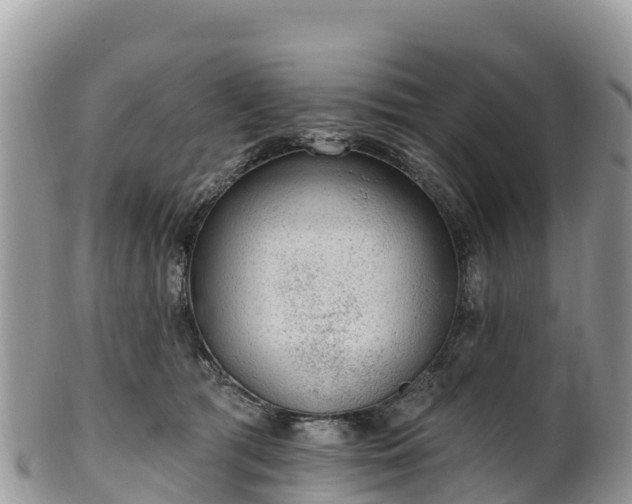 X0000102290417200808011517