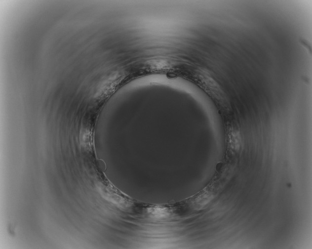 X0000102290419200808011517